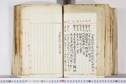明い016020090205.jpg