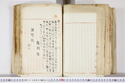 明い016020090206.jpg