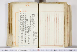 明い016020090207.jpg