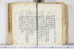 明い016020090208.jpg