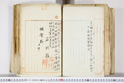 明い016020090209.jpg