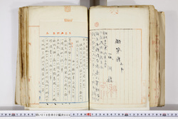 明い016020090210.jpg