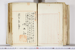 明い016020090212.jpg