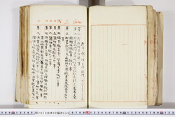 明い016020090213.jpg