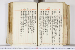 明い016020090214.jpg
