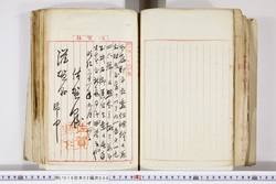 明い016020090215.jpg