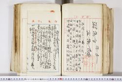 明い016020090216.jpg