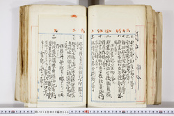 明い016020090217.jpg
