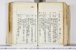 明い016020090218.jpg