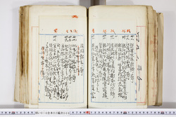 明い016020090219.jpg