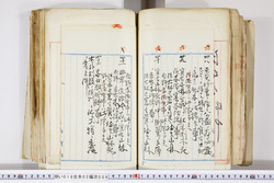明い016020090220.jpg