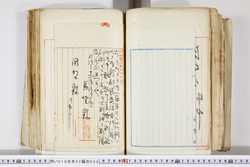 明い016020090221.jpg