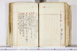 明い016020090222.jpg