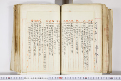 明い016020090223.jpg