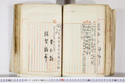 明い016020090224.jpg