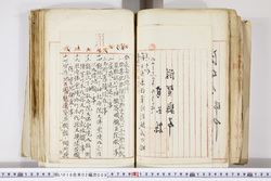 明い016020090225.jpg