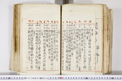 明い016020090226.jpg