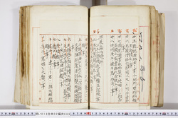 明い016020090227.jpg