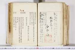 明い016020090229.jpg