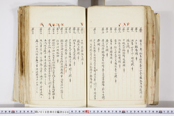 明い016020090230.jpg