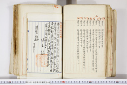 明い016020090231.jpg