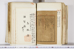 明い016020090233.jpg