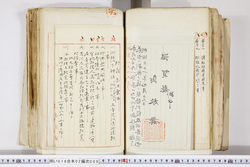 明い016020090234.jpg