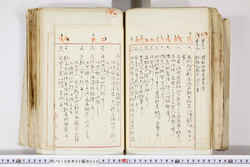 明い016020090235.jpg