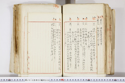 明い016020090236.jpg