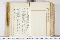 明い016020090237.jpg