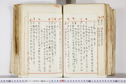 明い016020090238.jpg