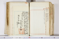 明い016020090239.jpg