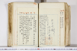 明い016020090240.jpg