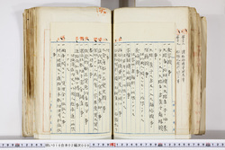 明い016020090241.jpg