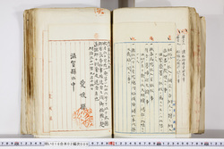 明い016020090242.jpg