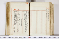 明い016020090243.jpg