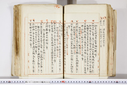 明い016020090244.jpg