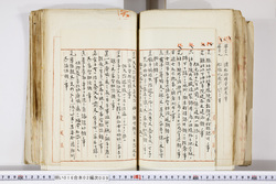 明い016020090245.jpg