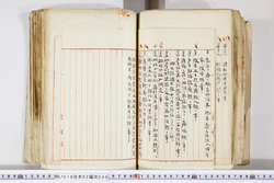 明い016020090246.jpg