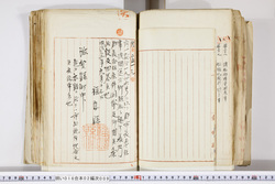 明い016020090247.jpg