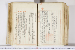 明い016020090248.jpg