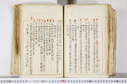 明い016020090249.jpg