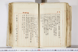 明い016020090250.jpg