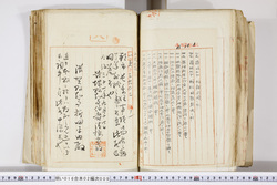 明い016020090251.jpg