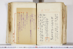 明い016020090252.jpg