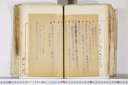明い016020090253.jpg