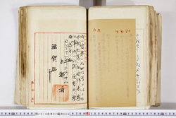 明い016020090254.jpg