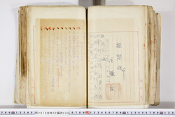 明い016020090255.jpg