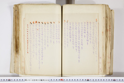 明い016020090256.jpg