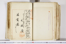 明い016020090257.jpg